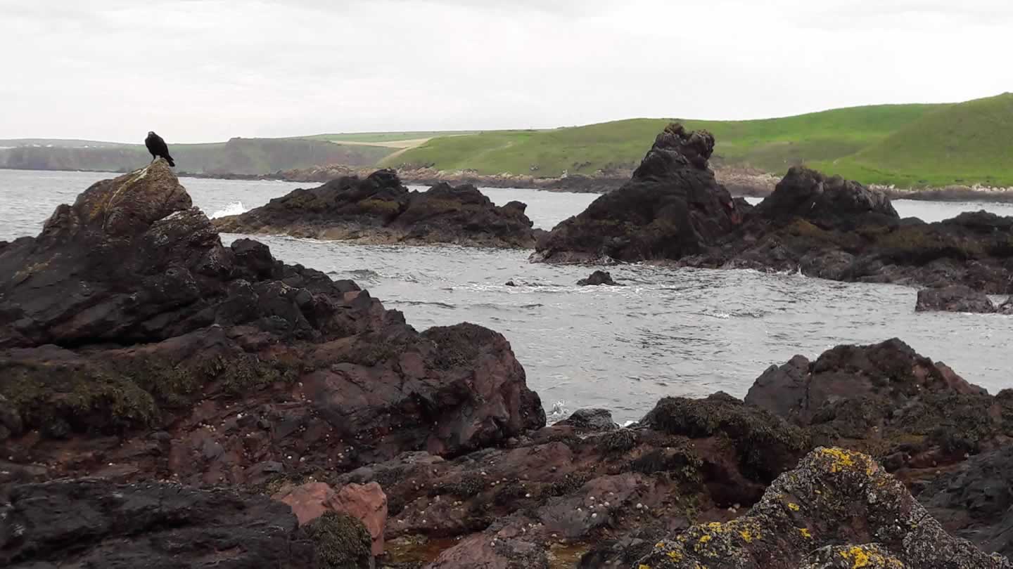 A view of Coldingham Bay