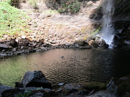 Hardraw Force: by Paul OrangeTree May 2019