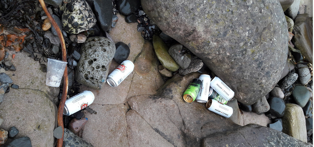 That is a Tidy Beach Party
